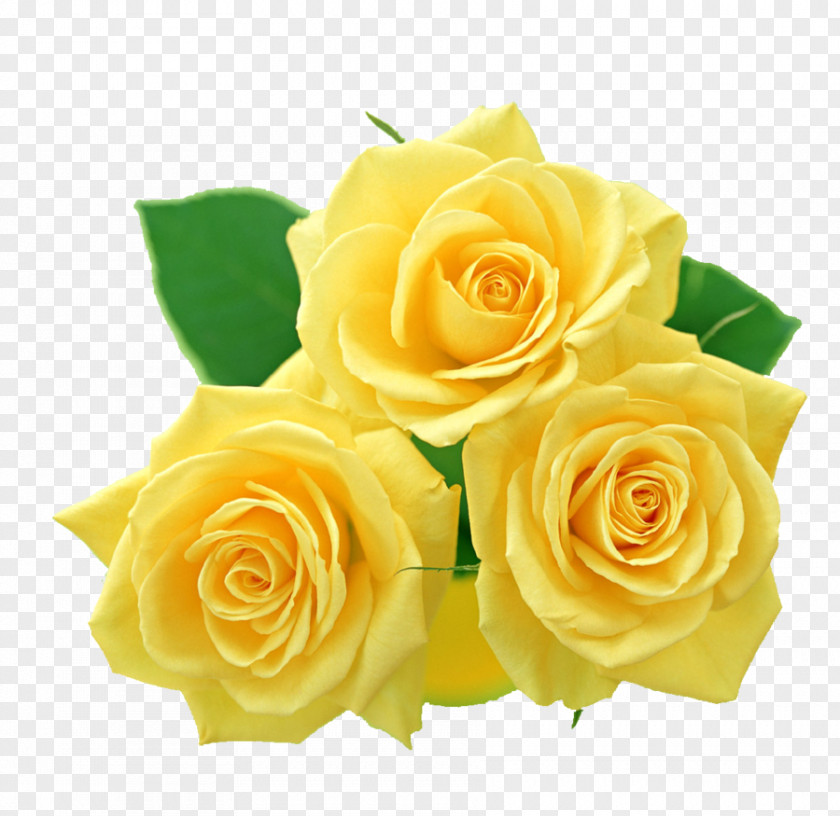 Mint Flowers Rose Yellow Clip Art PNG