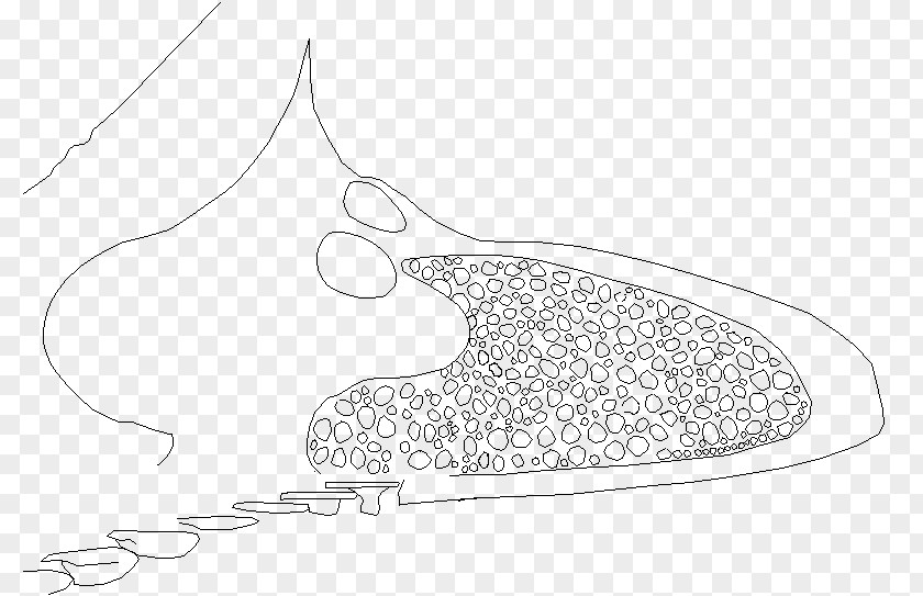 Paint Smudge Drawing Black And White Shoe /m/02csf PNG