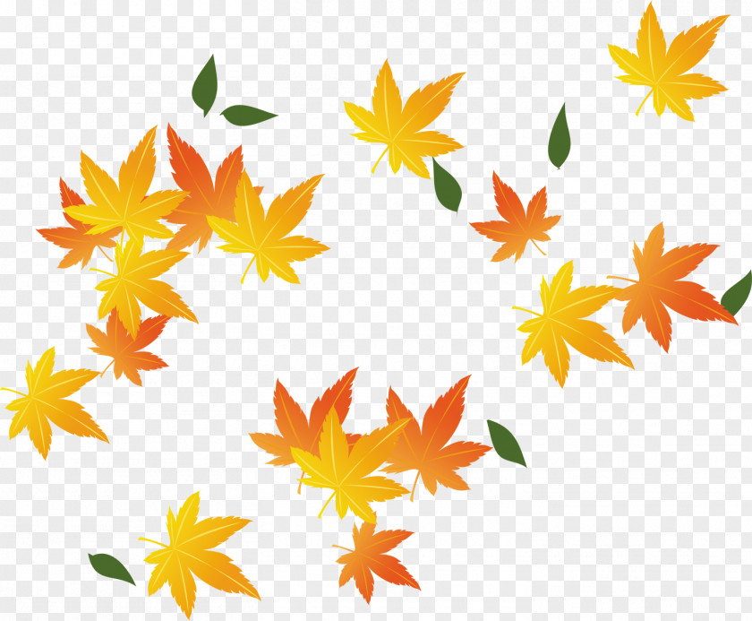 Painted Yellow Maple Leaves Falling Red Leaf PNG