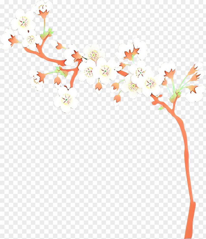 Pedicel Twig Cherry Blossom Background PNG