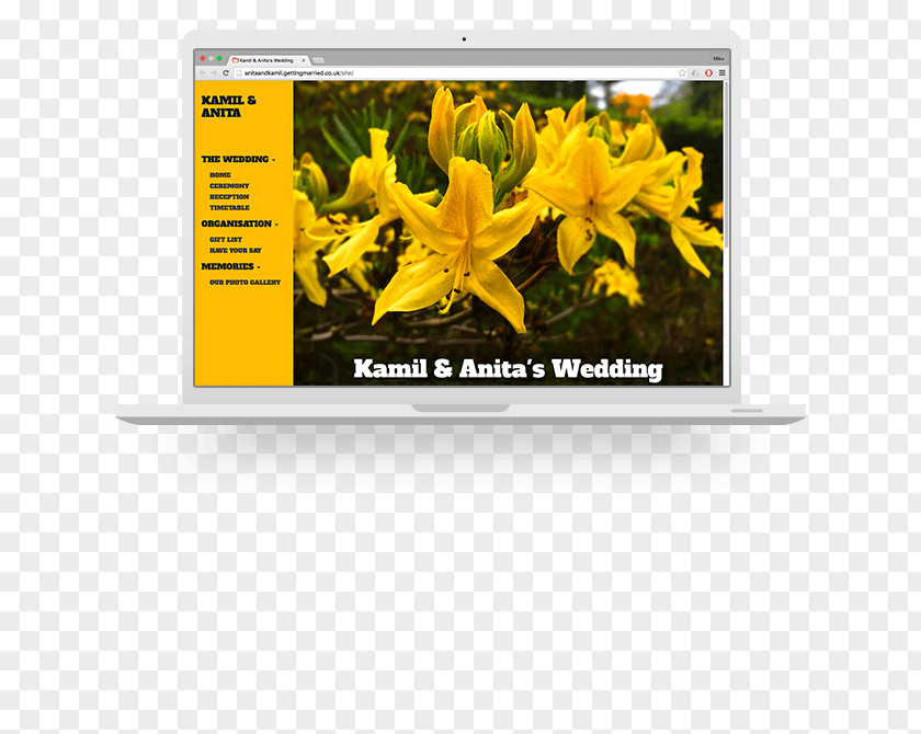 Wedding Bunting Personal Website Advertising Brand PNG