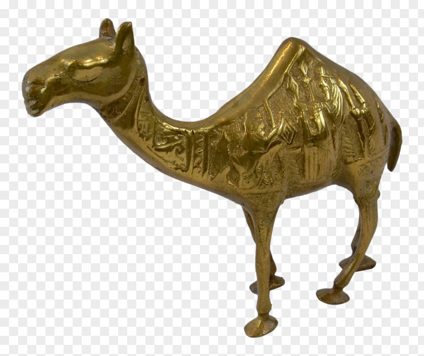 Camel Bronze Sculpture Statue PNG