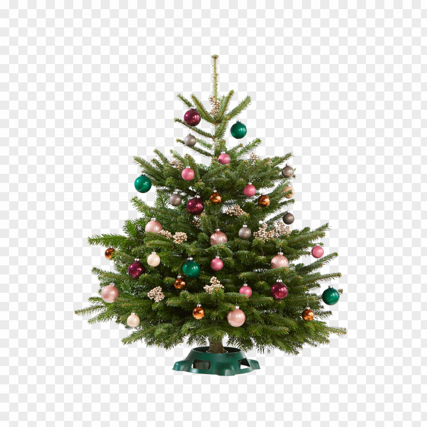 Christmas Tree Ornament Spruce Fir Pine PNG