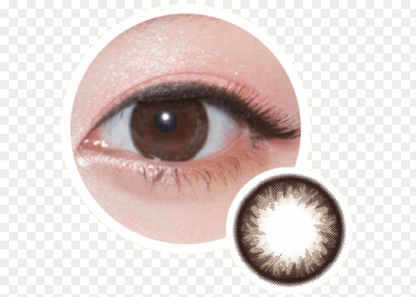 Contact Lenses Cat's Eye Circle Lens Color PNG