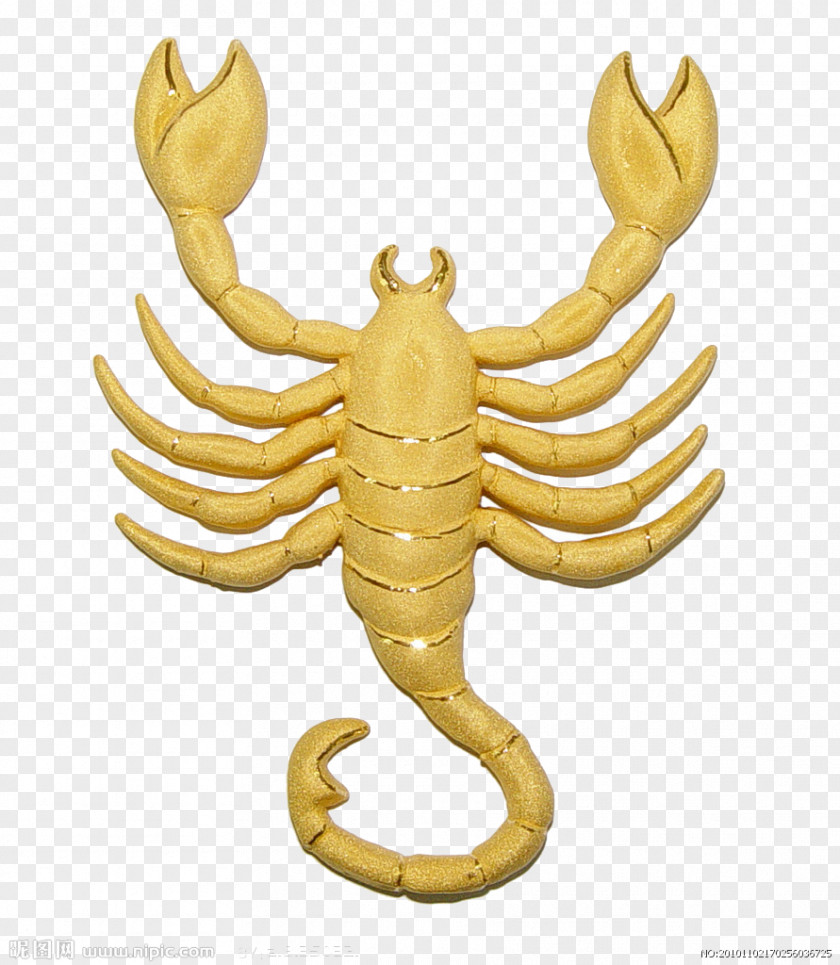 Gold Scorpion Pattern Capricornus Constellation PNG