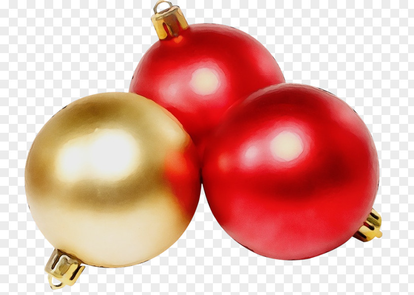 Plant Ball Christmas Ornament PNG
