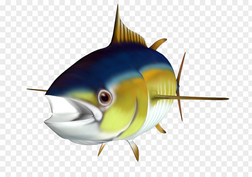 Tuna Albacore Fish Clip Art PNG