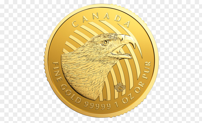Gold Coins Canadian Maple Leaf American Eagle Coin PNG