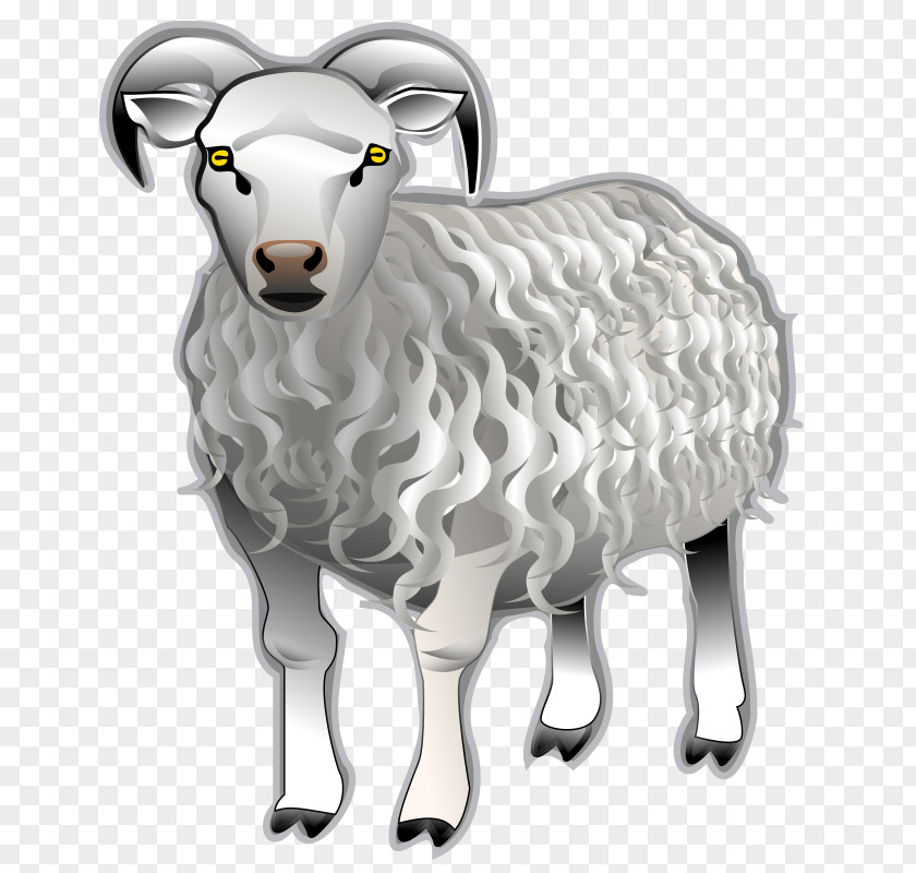 Sheep Bighorn Dall Clip Art PNG