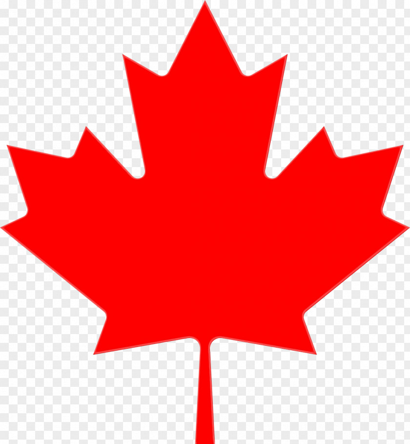 Symbol Plant Canada Maple Leaf PNG