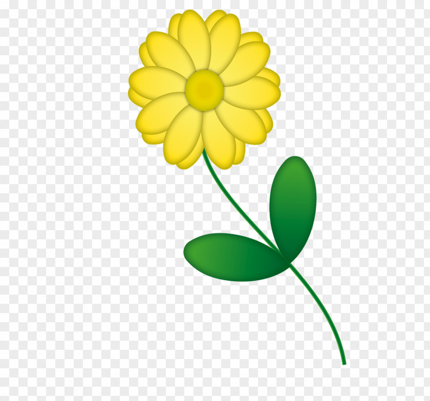 Yellow Flower Blume Cut Flowers Red PNG