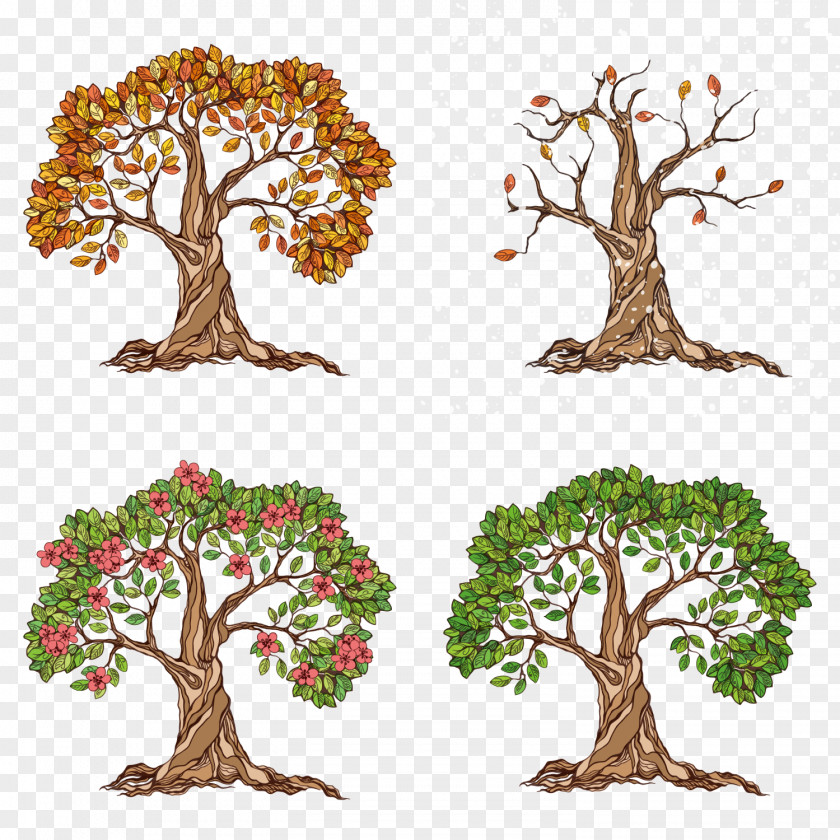 A Tree Of Spring, Summer, Autumn And Winter Season Illustration PNG