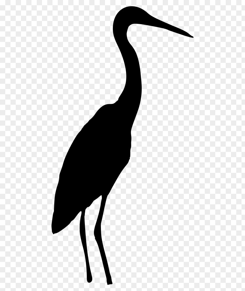 Bird Beak Clip Art Fauna Silhouette PNG