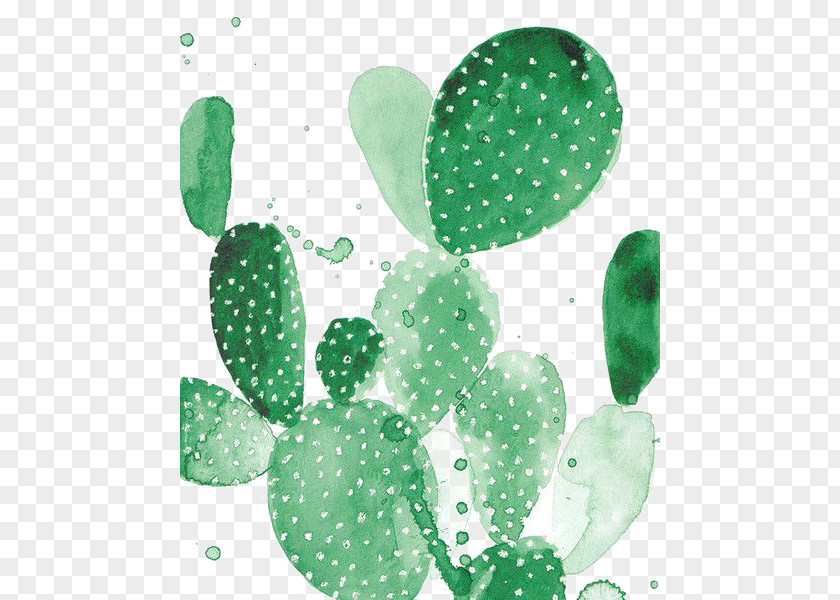 Cactus Printmaking Cactaceae Work Of Art Illustration PNG