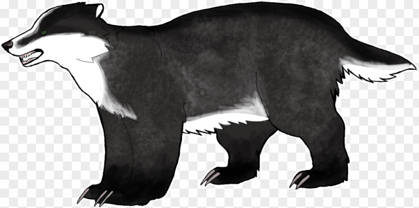 Cat Gray Wolf Fur Drawing Character PNG