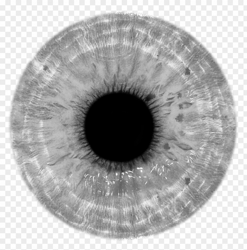 Eye Human Pupil Clip Art PNG