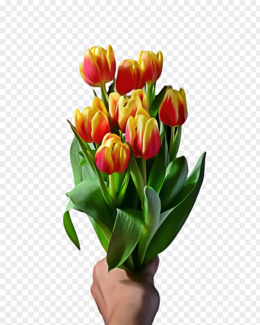 Houseplant Flower Arranging Lily Cartoon PNG