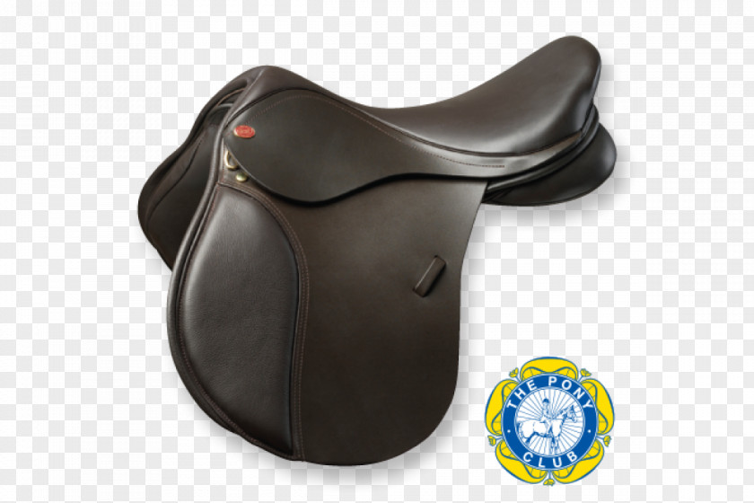 Hat Shapes Horse Saddle Pony Show Jumping Wintec PNG