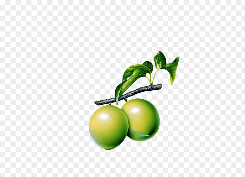 Plum Guava Lemon Clip Art PNG