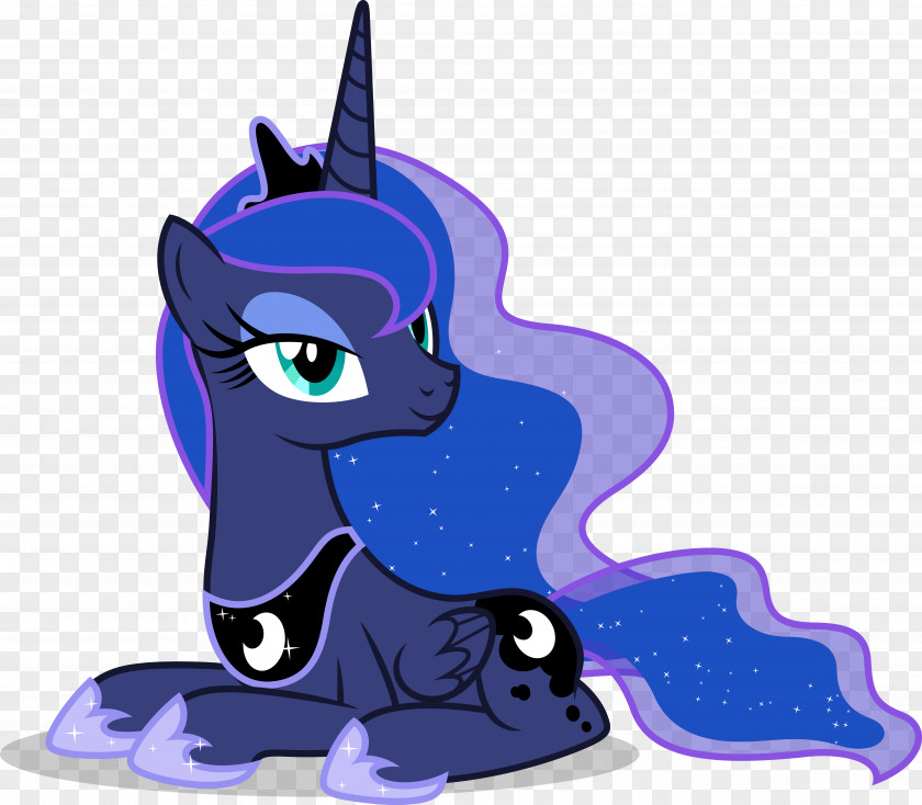 Princess My Little Pony: Luna And The Festival Of Winter Moon Celestia Cadance PNG