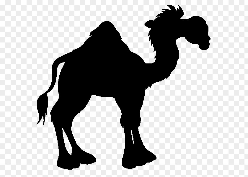 Arabian Peninsula Battle Of The Camel Rashidun Caliphate Uhud Banu Taym PNG