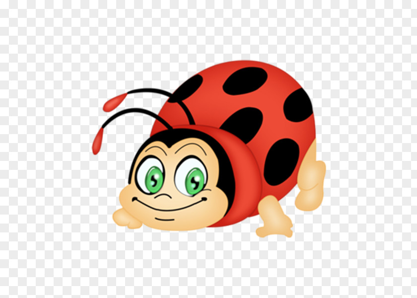 Cartoon Beetle Bugs Bunny Ladybird Clip Art PNG