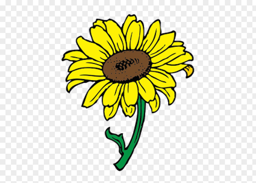 Cartoon Sunflower Clip Art Openclipart Download Vector Graphics Image PNG