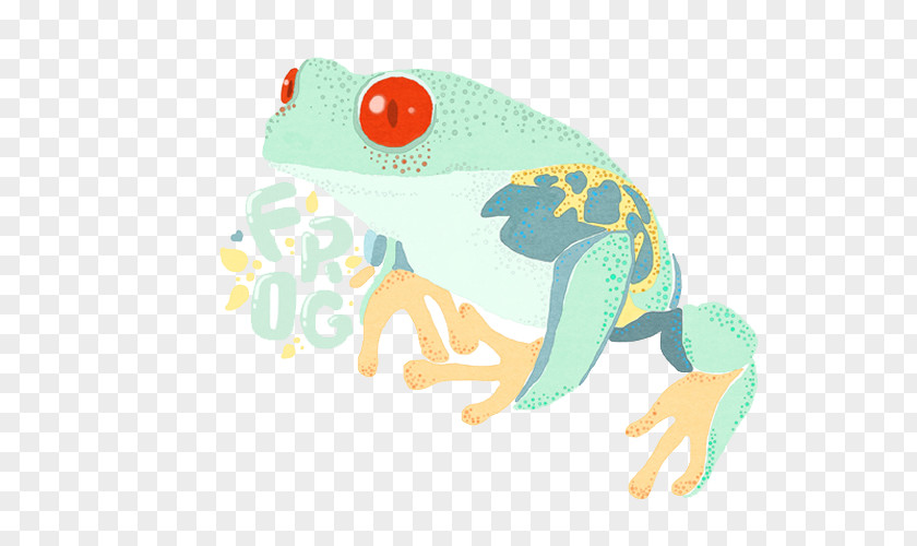 Green Frog Edible Tree Toad PNG