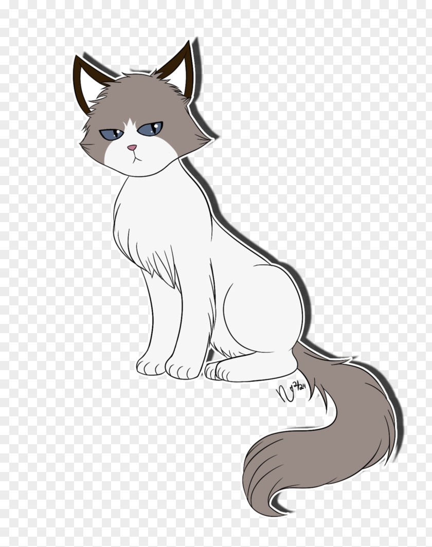 Kitten Whiskers Red Fox Cat Dog PNG