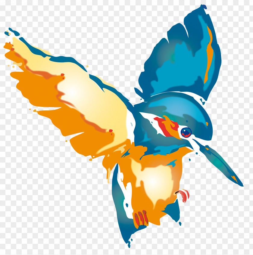 Little Baby Kingfisher Graphics Limited Graphic Design Drawing PNG