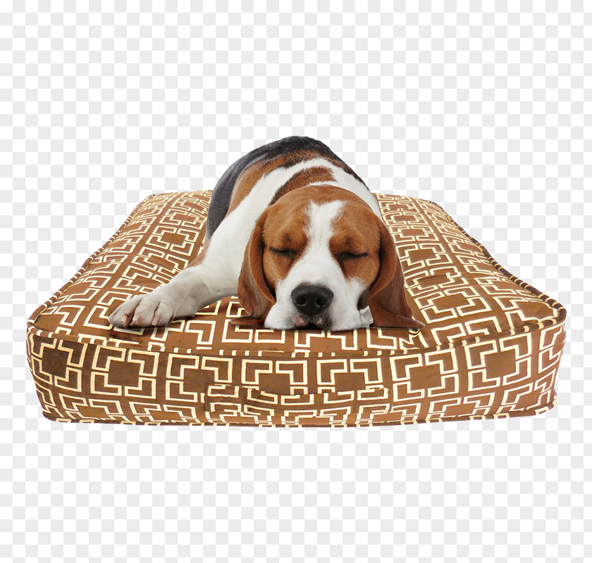 Puppy Dog Breed Beagle Bed Pillow PNG