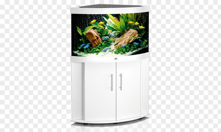 Trigon Aquarium Eheim White Fishkeeping Hellweg PNG