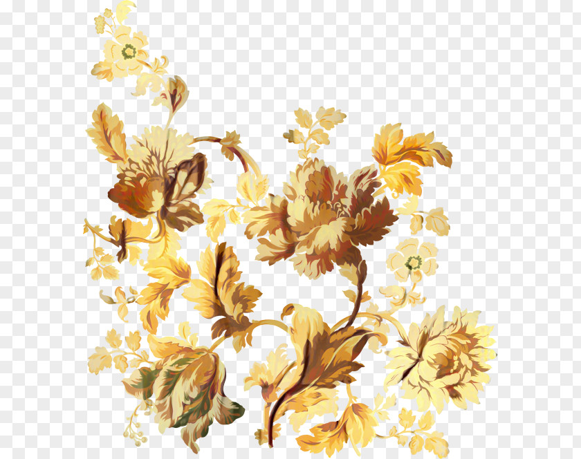 Wildflower Petal Floral Background PNG