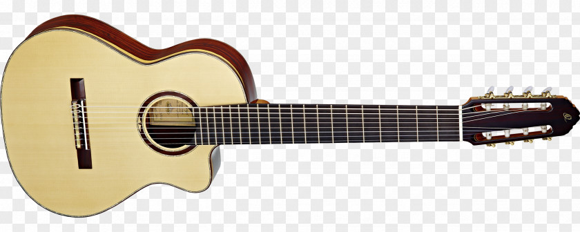 Amancio Ortega Musical Instruments Acoustic Guitar Acoustic-electric String PNG