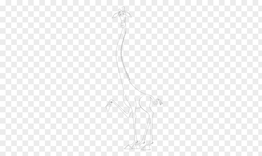 Giraffe Melman Drawing Madagascar Deer PNG