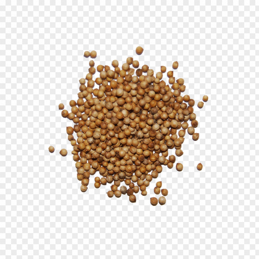 Indian Cuisine Seed Spice Herb PNG