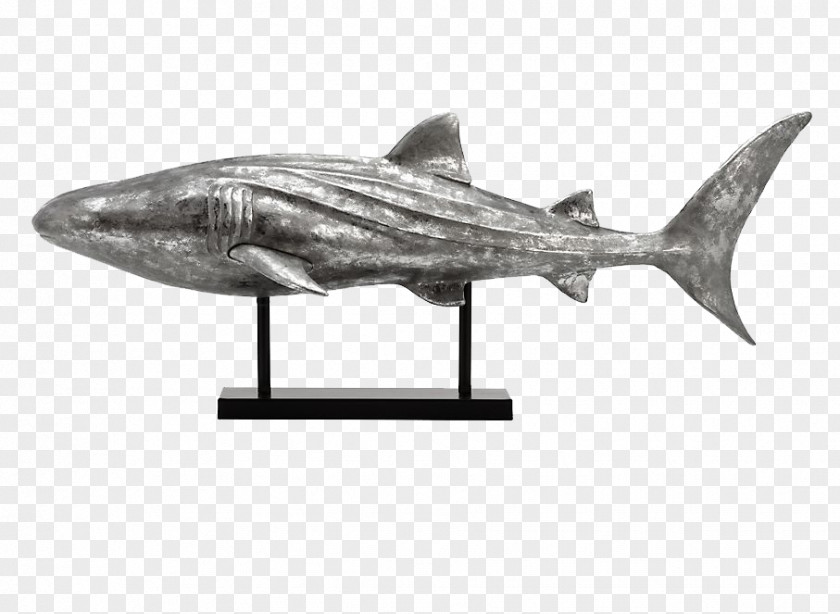 Metal Tin Shark Home Decoration Requiem Whale Great White PNG