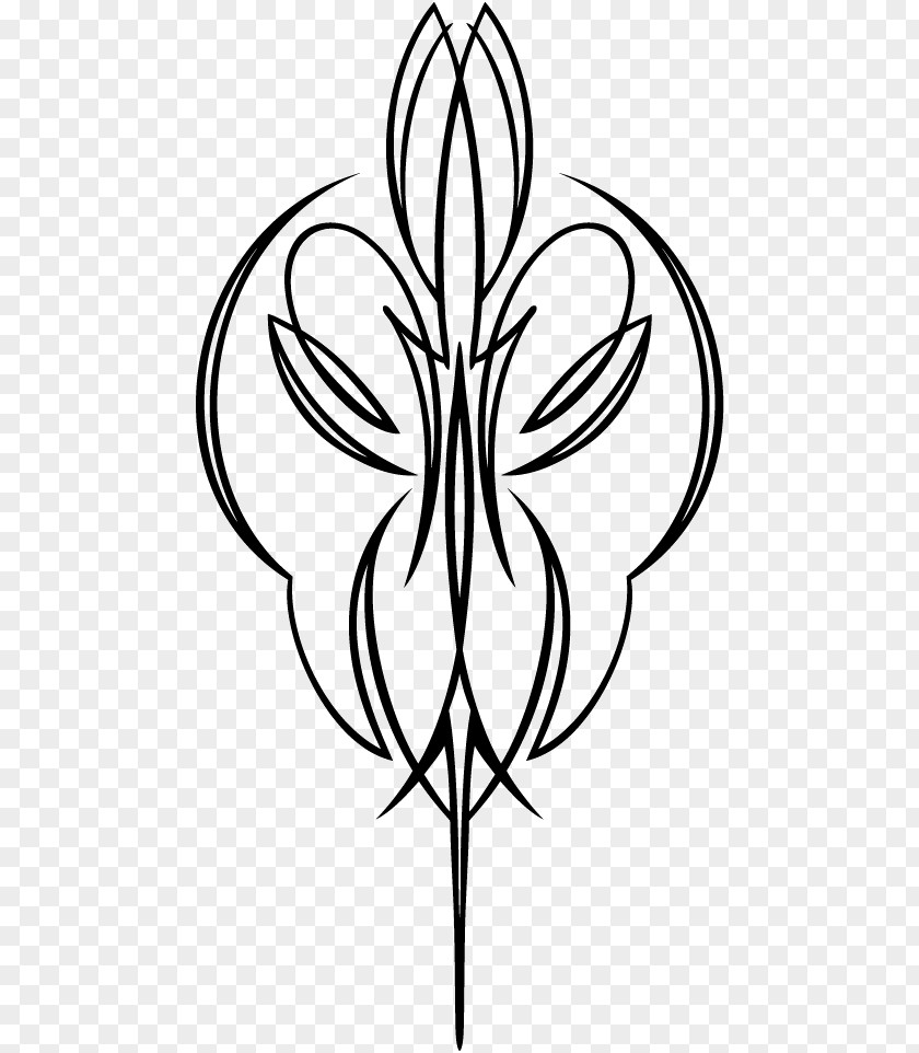 Pinstriping Clip Art Petal Symmetry Pattern Leaf PNG