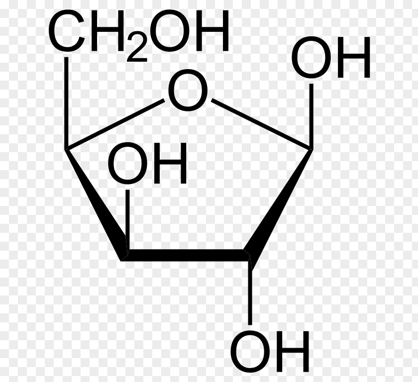 Projection Ribose Monosaccharide Glucose Haworth Arabinose PNG