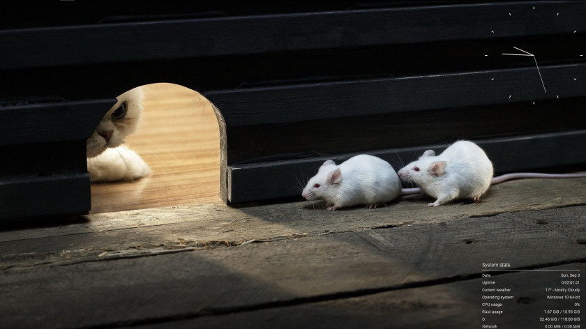 Rat & Mouse Desktop Wallpaper High-definition Television Video Cat PNG
