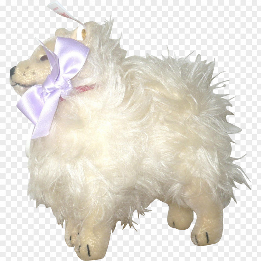Sheep Dog Breed West Highland White Terrier Snout PNG