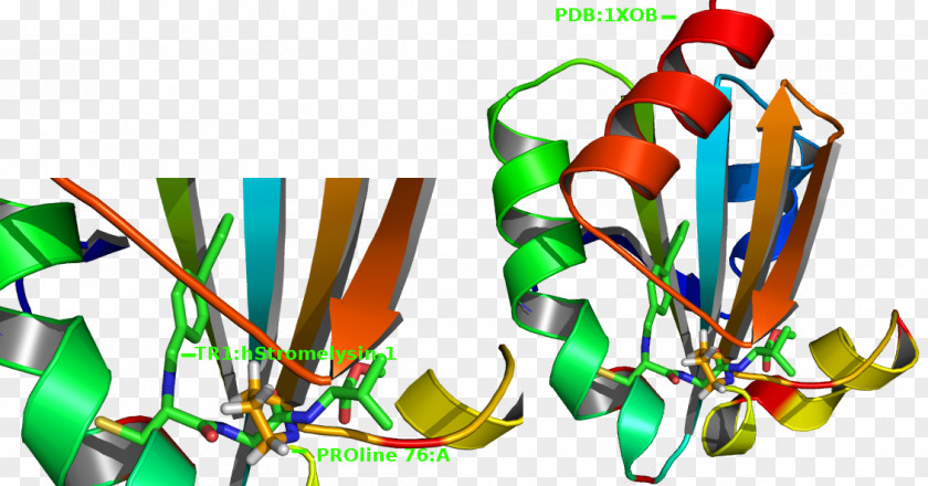 Thioredoxin Enzyme Glycolysis Antioxidant PNG