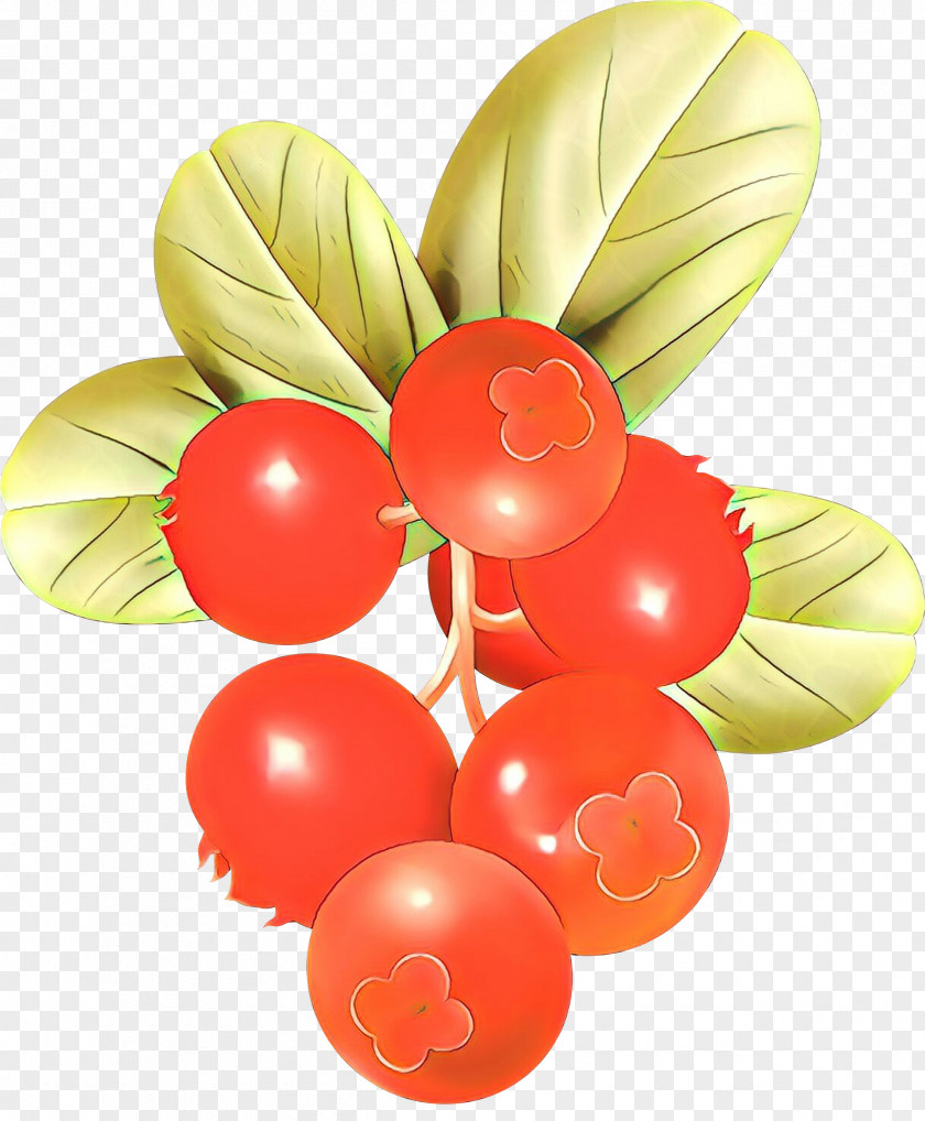 Balloon Plant Fruit Party Supply Currant PNG