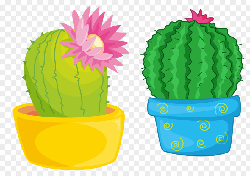 Blooming Cactus Plant Royalty-free Stock Photography Illustration PNG