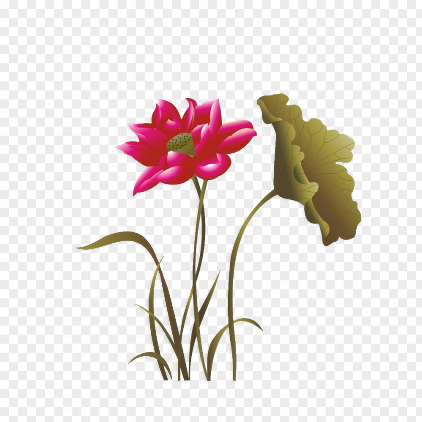 Chinese PaintingLotus Nelumbo Nucifera Painting PNG