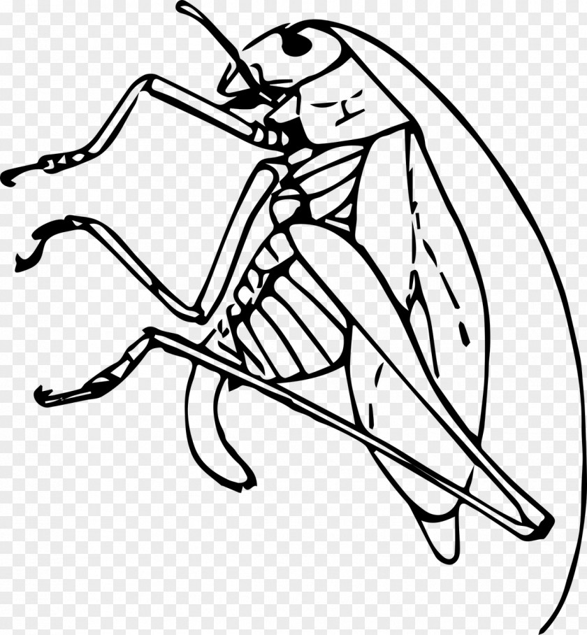 Cricket Insect Public Domain Black And White Clip Art PNG
