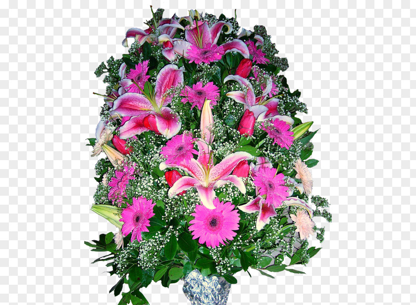 Flower Floral Design Cut Flowers Bouquet Tulip PNG