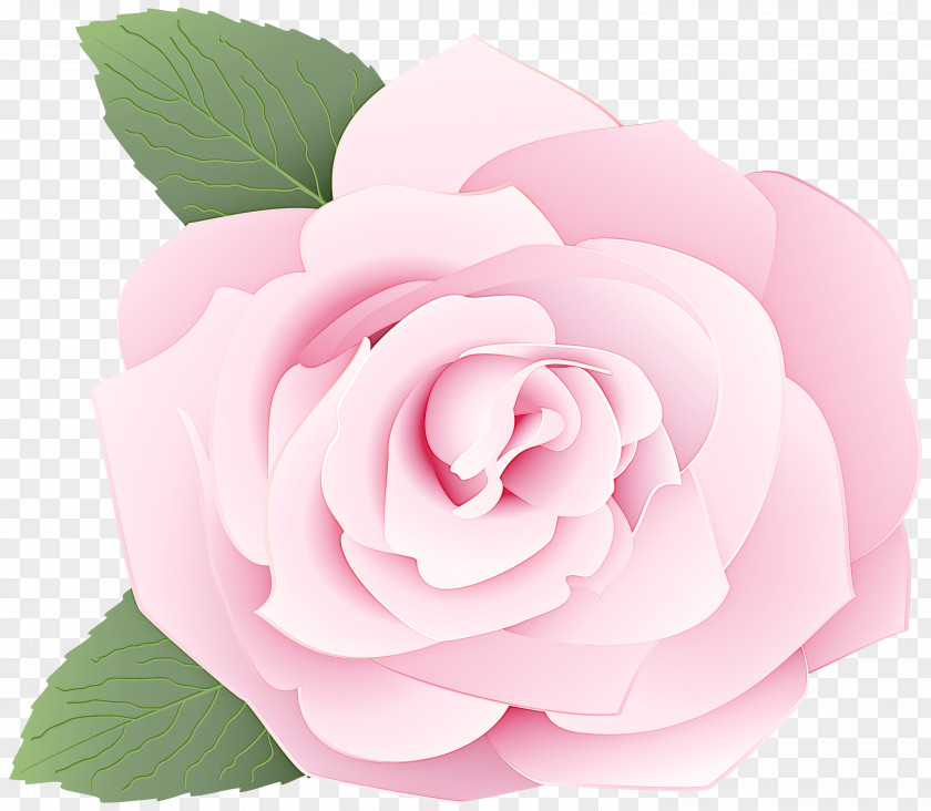 Garden Roses PNG