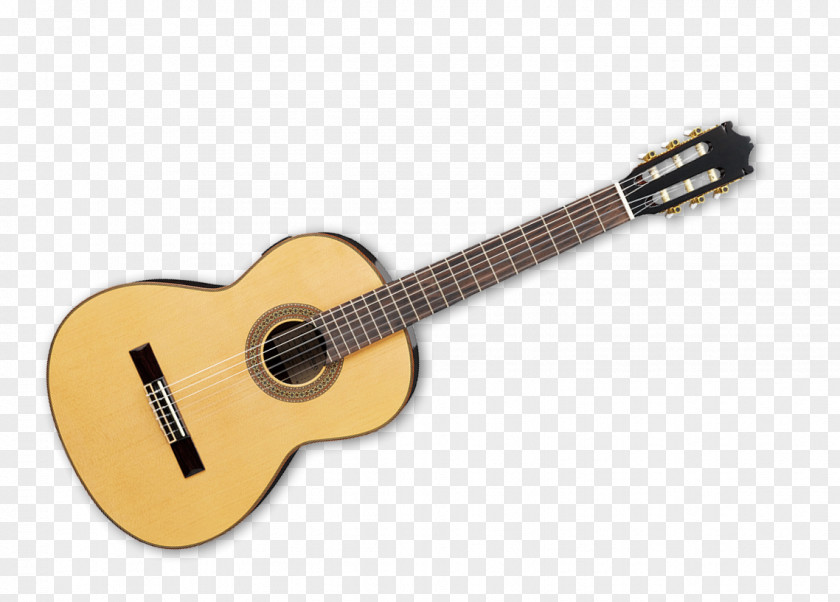 Landed Ukulele Acoustic Guitar Musical Instruments String PNG