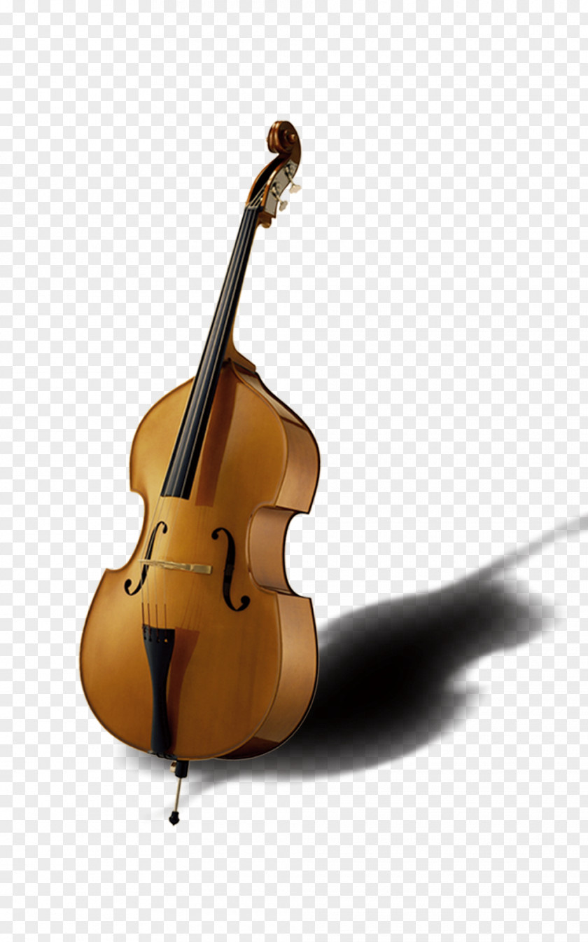 Musical Instruments Violin Bass Instrument String PNG